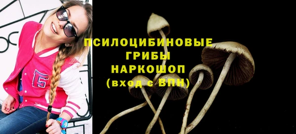 mdma Пестово