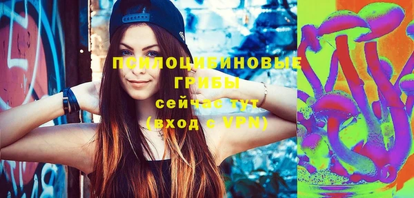 спиды Переславль-Залесский