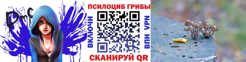 гидра сайт  это формула  Кунгур  Псилоцибиновые грибы Cubensis  где купить наркотик 