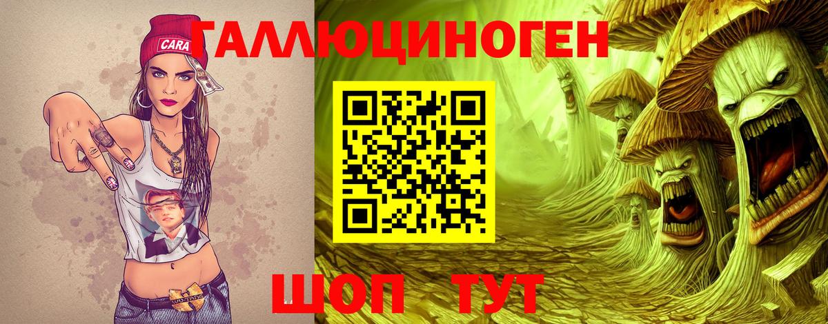 что такое   Вход с VPN  Кунгур  Псилоцибиновые грибы прущие грибы 